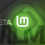 linuxmint-22-beta.jpg